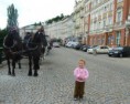 /album/fotogalerie/eli-a-kone-ve-varech-z-jpg/